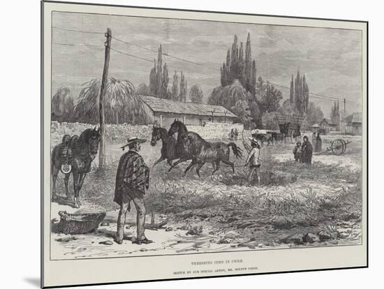 Threshing Corn in Chile-Melton Prior-Mounted Giclee Print