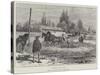 Threshing Corn in Chile-Melton Prior-Stretched Canvas