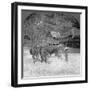 Threshing Rice, Amarapura, Burma, 1908-null-Framed Photographic Print