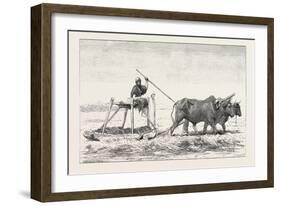 Threshing-Sled, Egypt, 1879-null-Framed Giclee Print