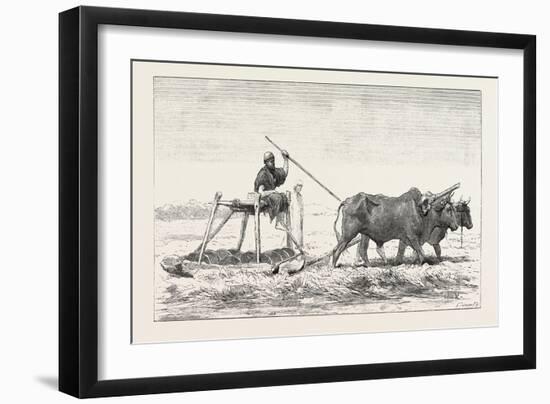 Threshing-Sled, Egypt, 1879-null-Framed Giclee Print