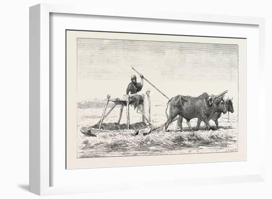 Threshing-Sled, Egypt, 1879-null-Framed Giclee Print