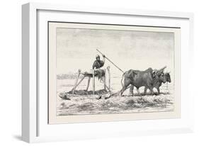 Threshing-Sled, Egypt, 1879-null-Framed Giclee Print