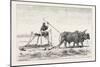 Threshing-Sled, Egypt, 1879-null-Mounted Giclee Print