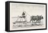 Threshing-Sled, Egypt, 1879-null-Framed Stretched Canvas