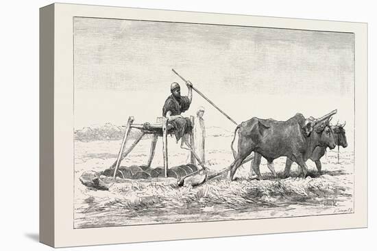 Threshing-Sled, Egypt, 1879-null-Stretched Canvas