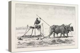 Threshing-Sled, Egypt, 1879-null-Stretched Canvas