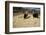 Threshing Wheat at Racchi, Cuzco Area, High Andes, Peru, South America-Walter Rawlings-Framed Photographic Print