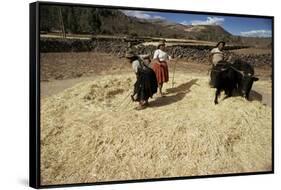 Threshing Wheat at Racchi, Cuzco Area, High Andes, Peru, South America-Walter Rawlings-Framed Stretched Canvas