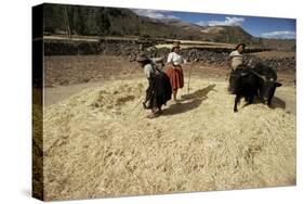 Threshing Wheat at Racchi, Cuzco Area, High Andes, Peru, South America-Walter Rawlings-Stretched Canvas