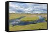 Thrift Flowering on Saltmarsh, Achnahaird Bay, Coigach and Assynt, Sutherland, Scotland, UK-Niall Benvie-Framed Stretched Canvas