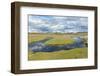 Thrift Flowering on Saltmarsh, Achnahaird Bay, Coigach and Assynt, Sutherland, Scotland, UK-Niall Benvie-Framed Photographic Print