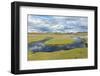 Thrift Flowering on Saltmarsh, Achnahaird Bay, Coigach and Assynt, Sutherland, Scotland, UK-Niall Benvie-Framed Photographic Print