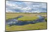 Thrift Flowering on Saltmarsh, Achnahaird Bay, Coigach and Assynt, Sutherland, Scotland, UK-Niall Benvie-Mounted Photographic Print