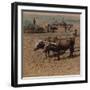 'Thrifty country-folk with their cattle at work on a farm near Jonkoping, Sweden', 1905-Elmer Underwood-Framed Photographic Print