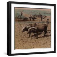 'Thrifty country-folk with their cattle at work on a farm near Jonkoping, Sweden', 1905-Elmer Underwood-Framed Premium Photographic Print