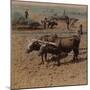 'Thrifty country-folk with their cattle at work on a farm near Jonkoping, Sweden', 1905-Elmer Underwood-Mounted Premium Photographic Print