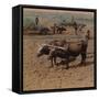 'Thrifty country-folk with their cattle at work on a farm near Jonkoping, Sweden', 1905-Elmer Underwood-Framed Stretched Canvas