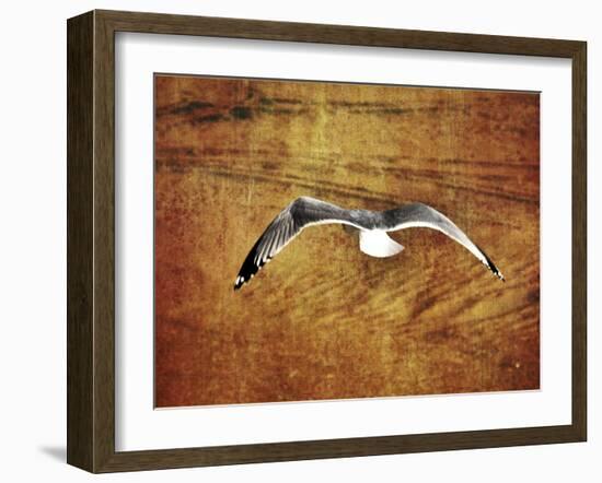 Thrill of Flying-Christy Ann-Framed Giclee Print