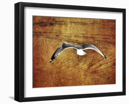 Thrill of Flying-Christy Ann-Framed Giclee Print