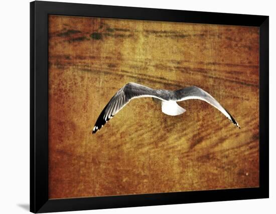 Thrill of Flying-Christy Ann-Framed Giclee Print