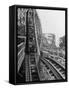 Thrill Seekers Getting a Hair Raising Ride on Cyclone Roller Coaster at Coney Island Amusement Park-Marie Hansen-Framed Stretched Canvas