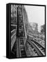 Thrill Seekers Getting a Hair Raising Ride on Cyclone Roller Coaster at Coney Island Amusement Park-Marie Hansen-Framed Stretched Canvas