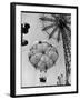 Thrillseeking Couple Take a Ride on the 300-Ft. Parachute Jump at Coney Island Amusement Park-null-Framed Photographic Print