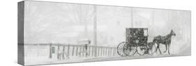 Through a Driving Snow Storm, an Amish Buggy Travels Along a Road in Parkman, Ohio-null-Stretched Canvas