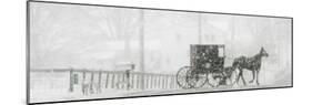 Through a Driving Snow Storm, an Amish Buggy Travels Along a Road in Parkman, Ohio-null-Mounted Photographic Print