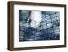 Through a Thin Fence-Ursula Abresch-Framed Photographic Print