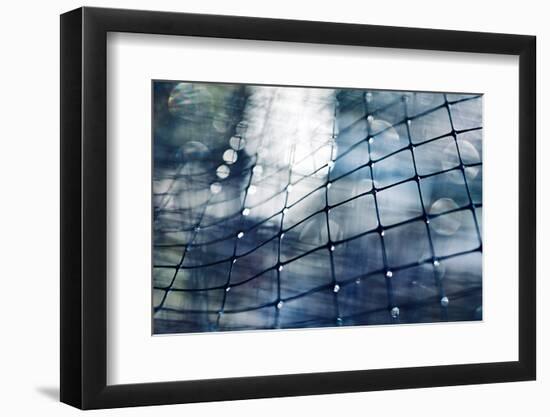 Through a Thin Fence-Ursula Abresch-Framed Photographic Print