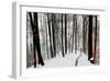 Through Autumn and Winter-Samanta-Framed Photographic Print