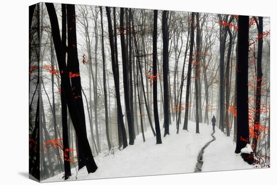 Through Autumn and Winter-Samanta-Stretched Canvas
