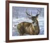 Through My Window: Whitetail Deer-Joni Johnson-godsy-Framed Art Print