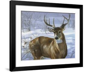Through My Window: Whitetail Deer-Joni Johnson-godsy-Framed Art Print