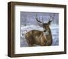 Through My Window: Whitetail Deer-Joni Johnson-godsy-Framed Giclee Print