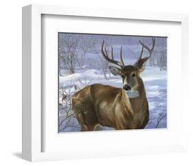 Through My Window: Whitetail Deer-Joni Johnson-godsy-Framed Giclee Print