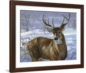 Through My Window: Whitetail Deer-Joni Johnson-godsy-Framed Giclee Print