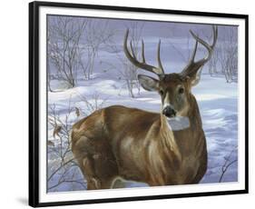 Through My Window - Whitetail Deer-Joni Johnson-godsy-Framed Art Print