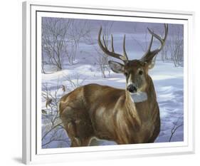 Through My Window - Whitetail Deer-Joni Johnson-godsy-Framed Art Print