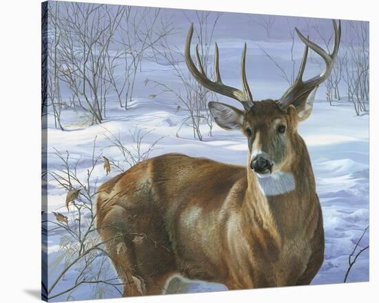 Through My Window - Whitetail Deer-Joni Johnson-godsy-Stretched Canvas