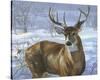 Through My Window - Whitetail Deer-Joni Johnson-godsy-Stretched Canvas