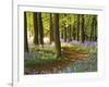 Through the Bluebells-Assaf Frank-Framed Giclee Print