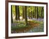 Through the Bluebells-Assaf Frank-Framed Giclee Print