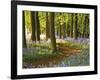 Through the Bluebells-Assaf Frank-Framed Giclee Print