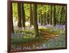 Through the Bluebells-Assaf Frank-Framed Giclee Print