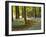 Through the Bluebells-Assaf Frank-Framed Giclee Print