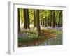 Through the Bluebells-Assaf Frank-Framed Giclee Print