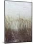 Through the Dunes II-Pam Ilosky-Mounted Art Print